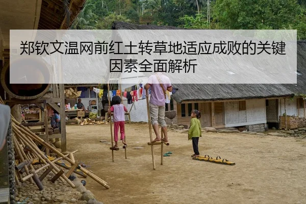 郑钦文温网前红土转草地适应成败的关键因素全面解析