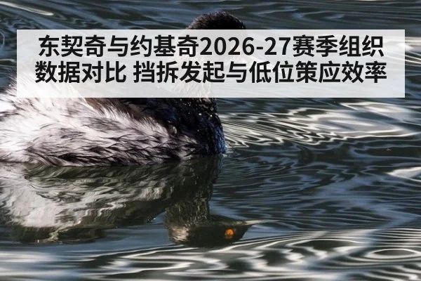 东契奇与约基奇2026-27赛季组织数据对比 挡拆发起与低位策应效率