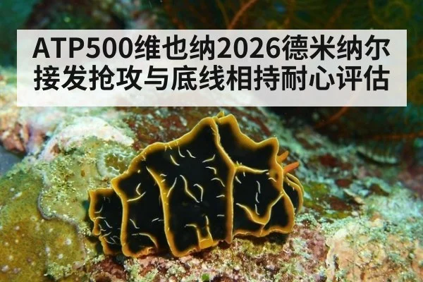 ATP500维也纳2026德米纳尔接发抢攻与底线相持耐心评估